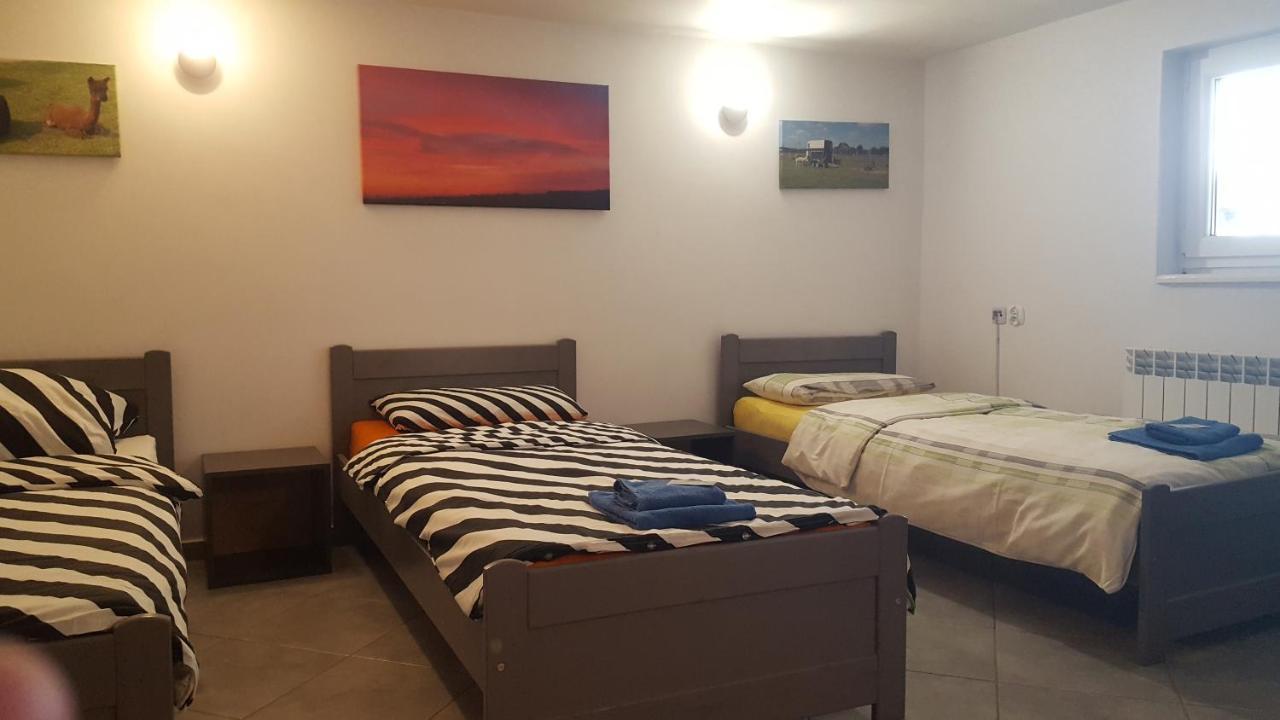 Alpaka-Ranczo Aff Villa Pulawy Bagian luar foto