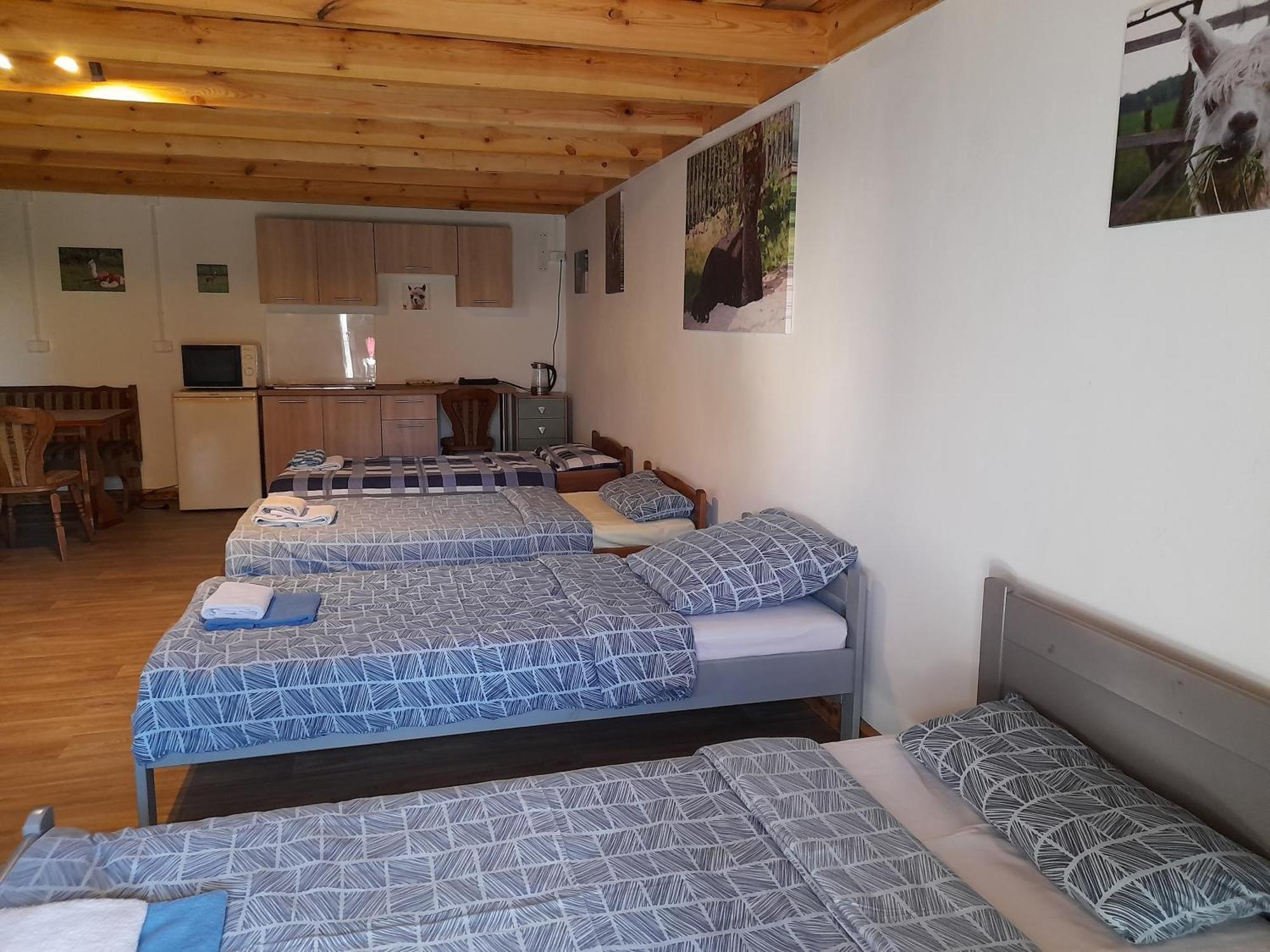 Alpaka-Ranczo Aff Villa Pulawy Bagian luar foto