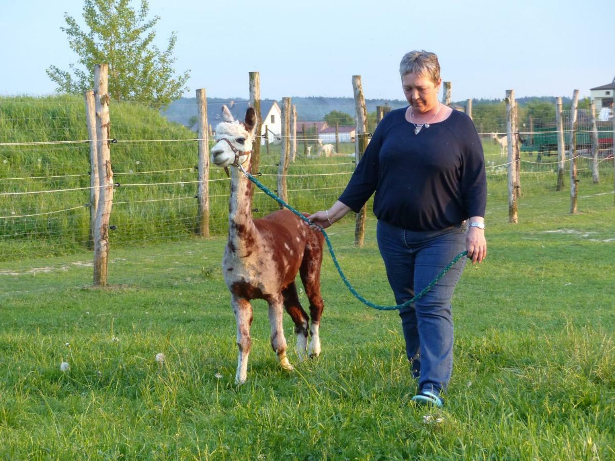 Alpaka-Ranczo Aff Villa Pulawy Bagian luar foto