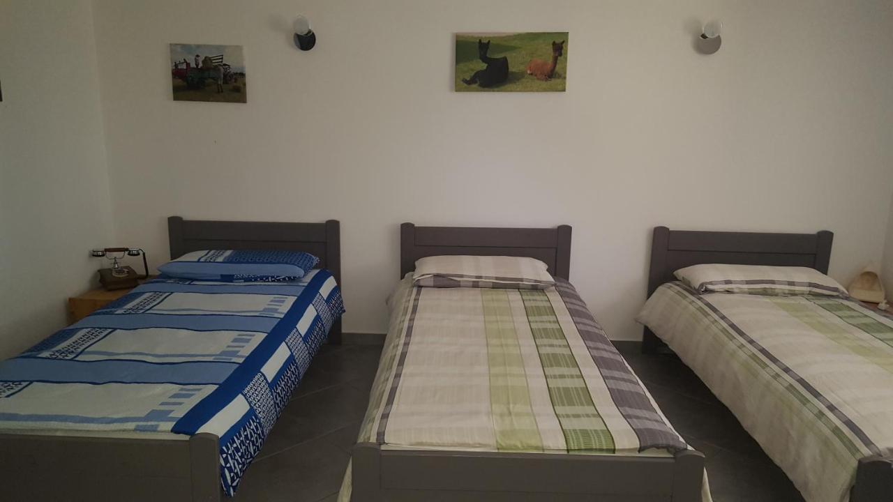 Alpaka-Ranczo Aff Villa Pulawy Bagian luar foto